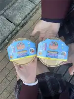 NZ研修　Day6 Exploring with Our Buddy!