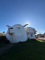 NZ研修　Day4 Little Local Adventure!