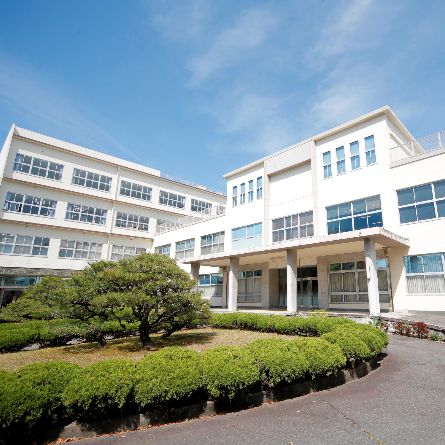 市邨中・高 Apple Distinguished School 認定 | 学校法人市邨学園