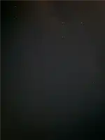NE研修　6日目